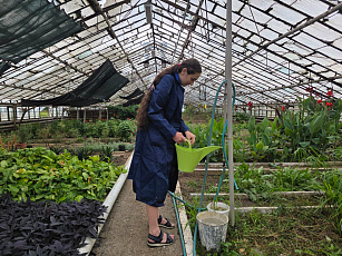 Экзамен пройден — путь к садовым вершинам открыт!